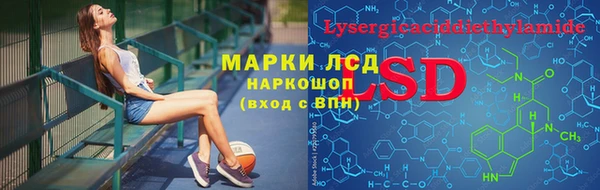 спайс Алзамай