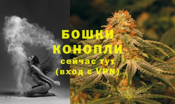 PSILOCYBIN Краснослободск