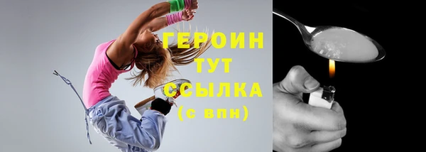 хмурый Арсеньев